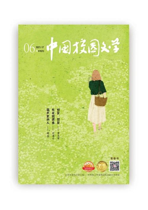 超星战舰队