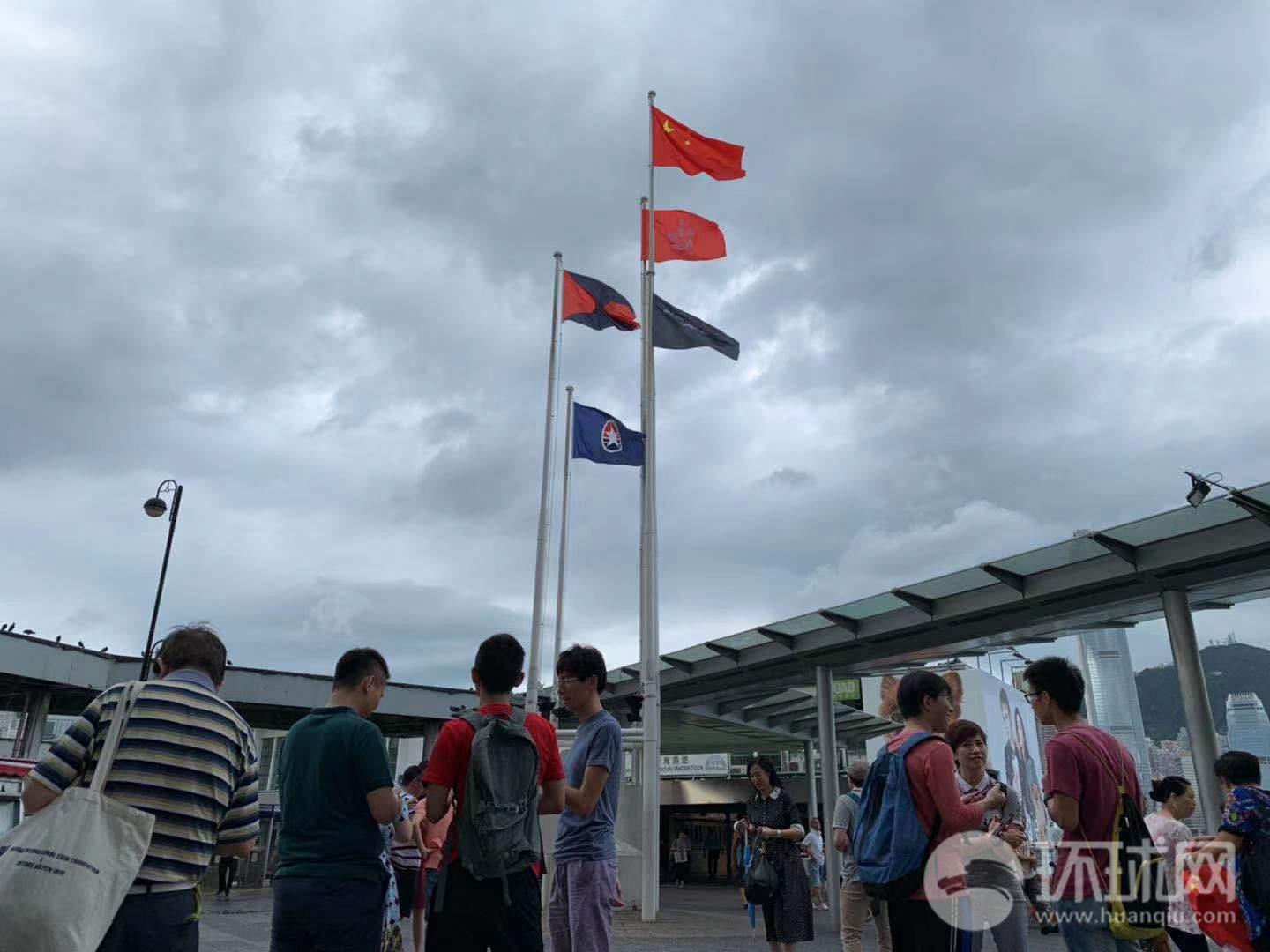 救援可爱小松鼠
